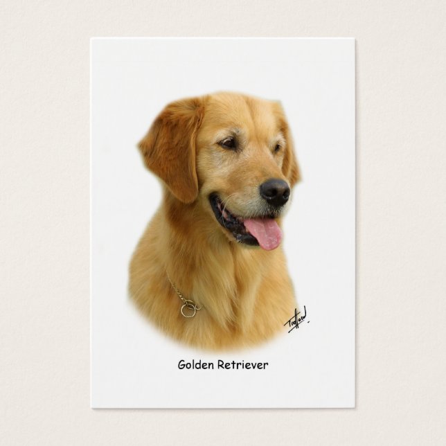 Retriever de ouro 9K011D-08 (Frente)