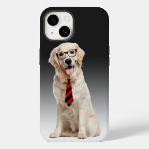 Retriever De ouro Com Óculos