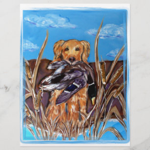 RETRIEVER DOURADO