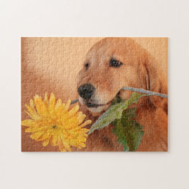 Retriever ouro Com Quebra-cabeça De Vidraça Da Flo