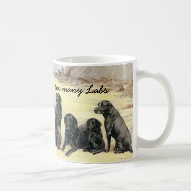 Retrievers de Labrador na caneca da praia (Direita)