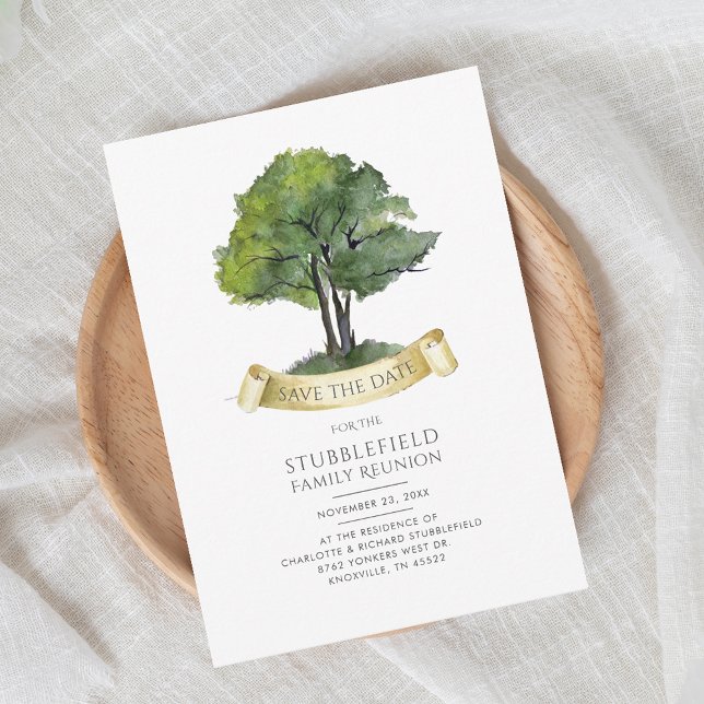 Reunião da Família de Árvores de Genalogia Moderna (Family Tree Genealogy Cousins Gathering Invitation)