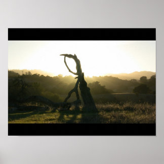 Revelação Mística - Poster