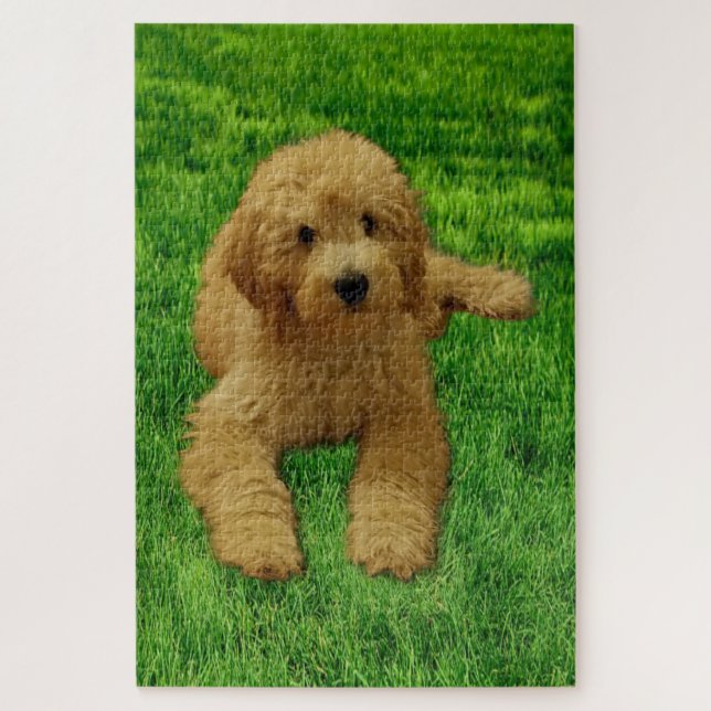 Rex A Quebra-cabeça De Goldendoodle (Vertical)