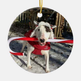 Rex O Enfeites de natal Terrier Candy Candy Da TV