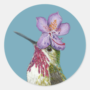 Rex os adesivos de beija-flores