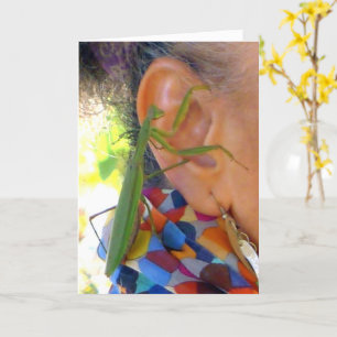 Rezando Mantis compartilha um cartão secreto