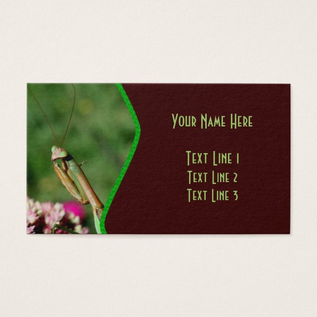 Rezando Mantis Insetos Natureza (Frente)