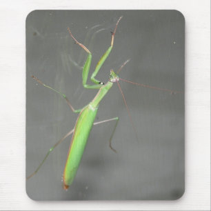 Rezando Mantis Mousepad Plus