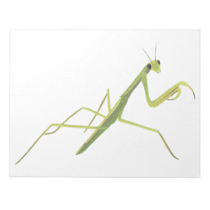 Rezando o Bloco de Notas de Pintura Mantis