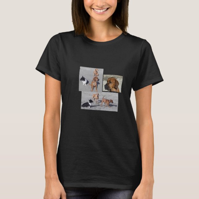 Rhett, imbecil e t-shirt de Teegan (Frente)