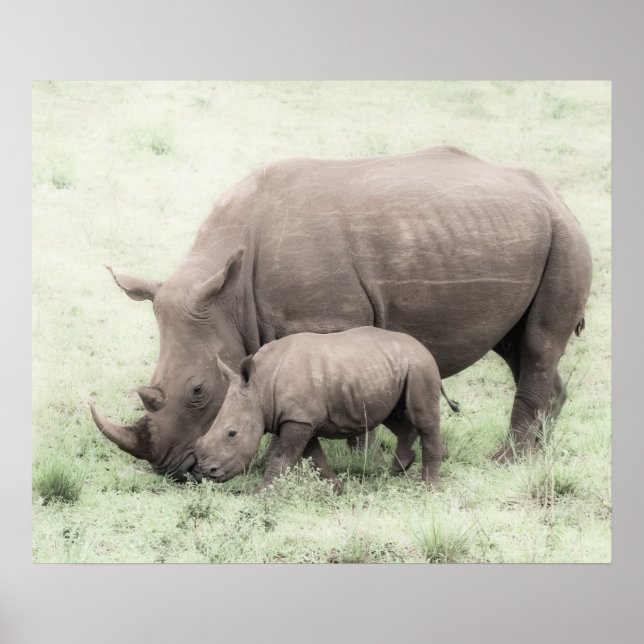 Rhino Branco e Poster de Bebê (Frente)