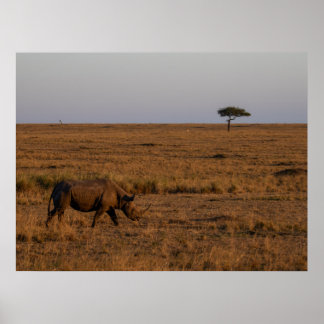 Rhino em Dusk - Poster de Arte de Muro Africano
