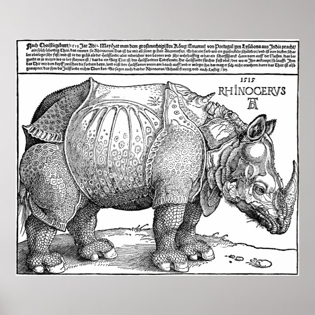Rhino por Albrecht Durer Poster (Frente)