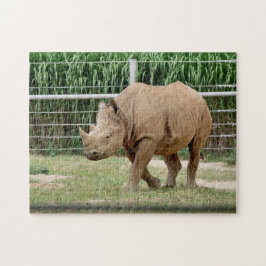 Rhino Toy Jigsera Quebra-cabeça