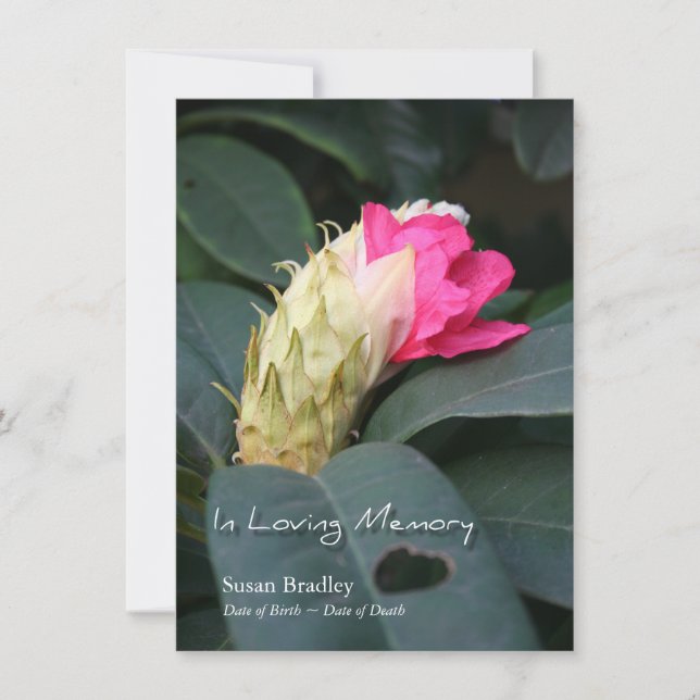 Rhododendron 2 Celebração do Convite à Vida (Frente)