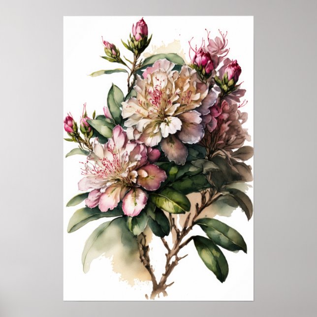 Rhododendron rosa Flores Impressão (Frente)