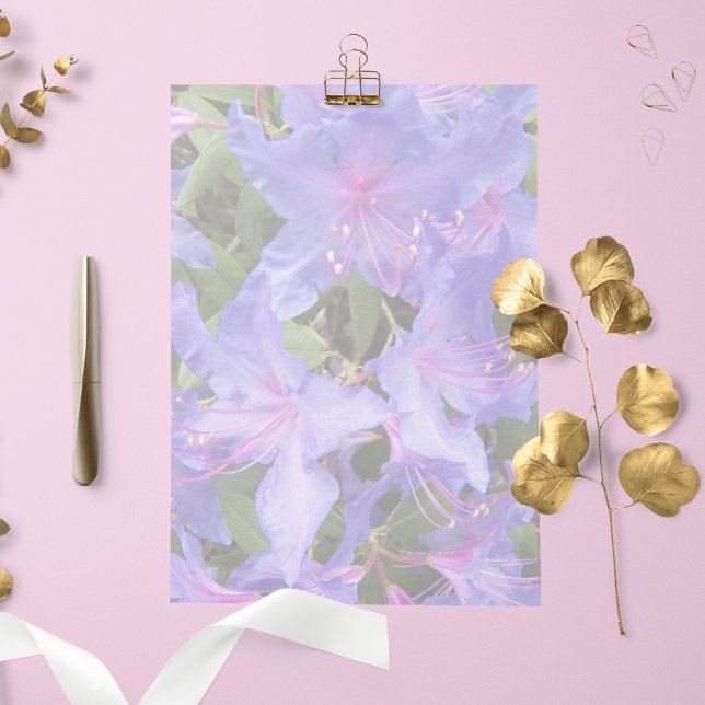 Rhododendrons roxos Papel de Carta Floral (In Situ)