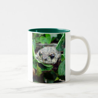 Ribbit, caneca do Dois-Tom de Ribbit