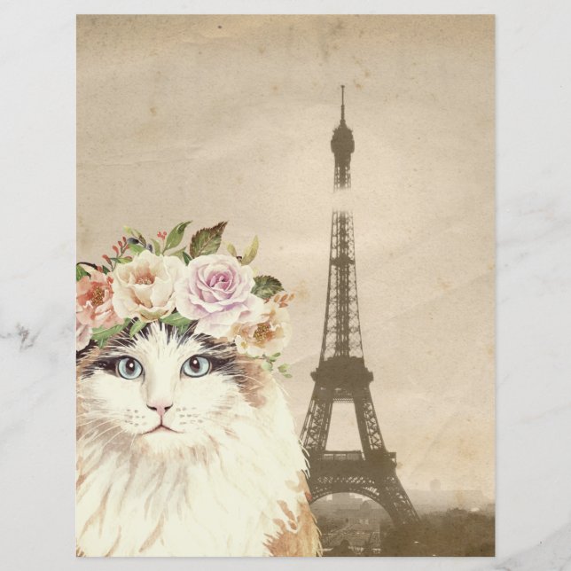 Rico Cat & Eiffel Tower Scrapbook Paper (Frente)