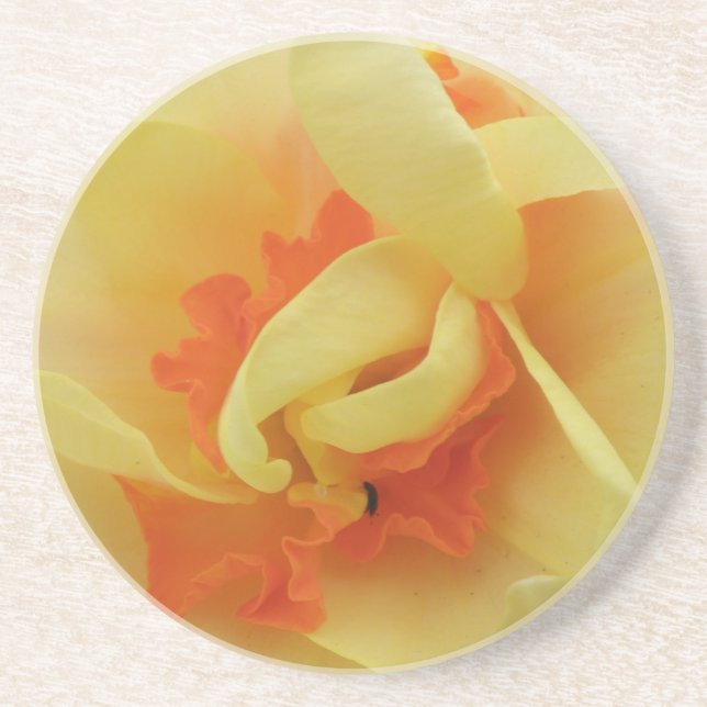Rico Daffodil Porta copos (Frente)