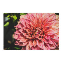 Rico Dahlia