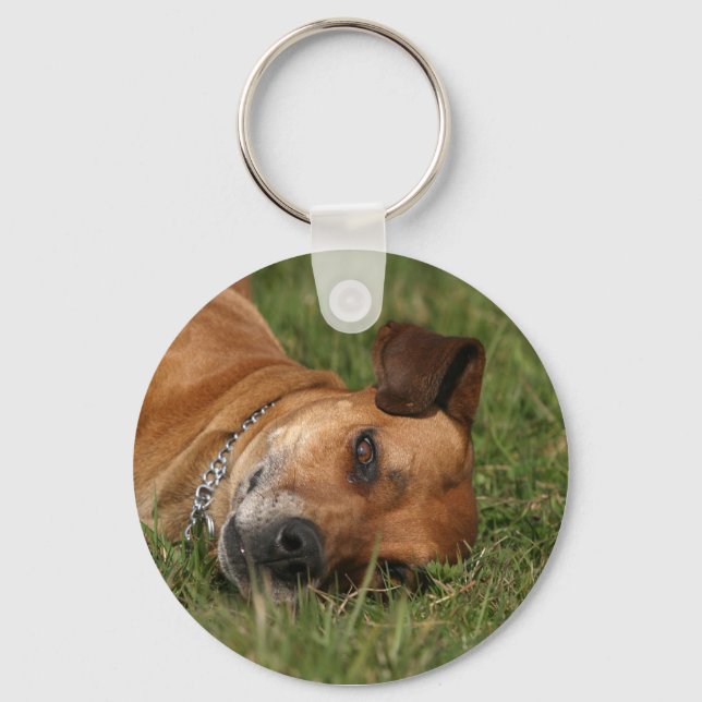 Ridgeback Chaveiro (Frente)