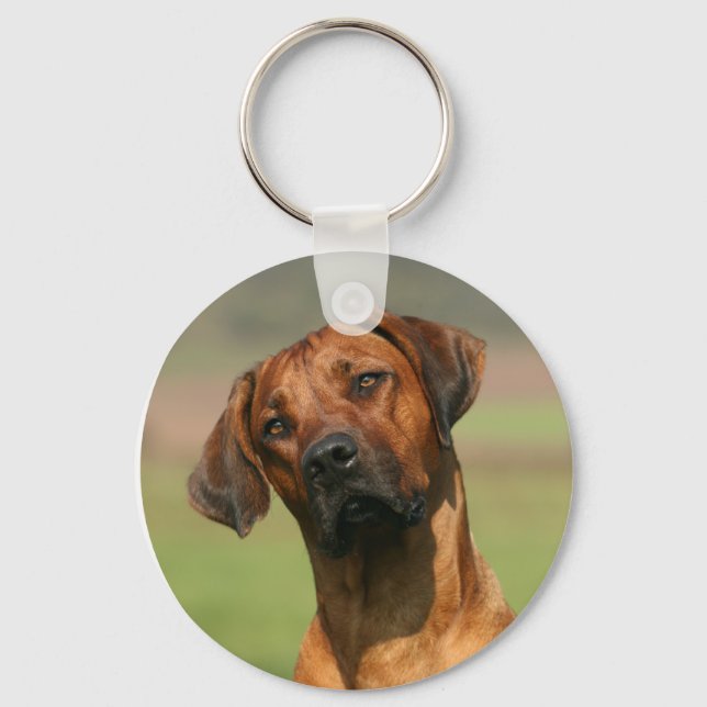 Ridgeback Chaveiro (Frente)