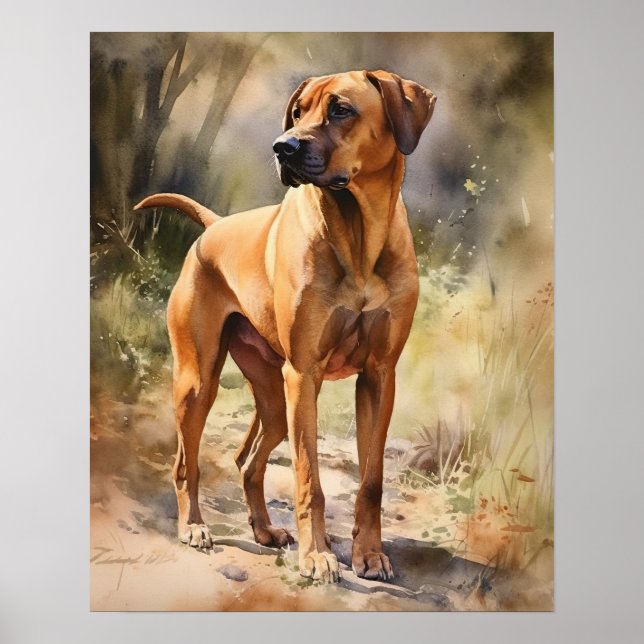 Ridgeback Dog Art Impressão (Frente)