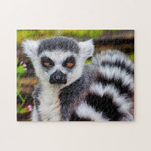 Ring Tailed Lemur, Quebra-cabeça de Jigsaw