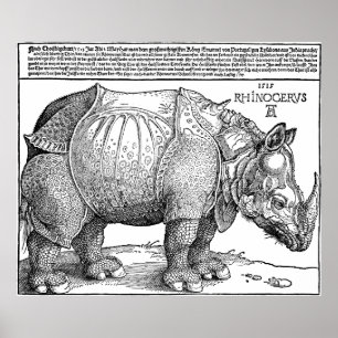 Rinoceronte pelo poster de Albrecht Durer