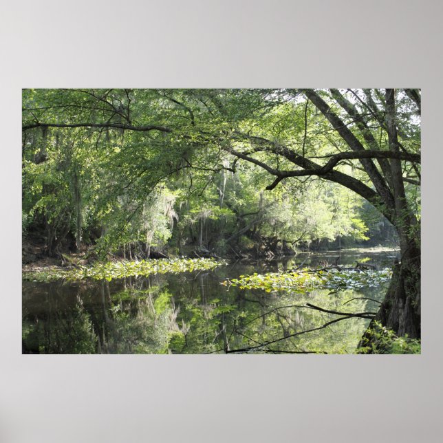 Rio Cypress A Parte Poster -60x40 -ou menor (Frente)