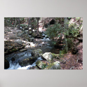 Rio de Bushkill no Poconos. impressão 0086