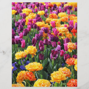 Rio Floral Falln Sunset
