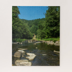 Rio Floresta Quebra-cabeça