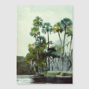 Rio Homosassa por Winslow Homer