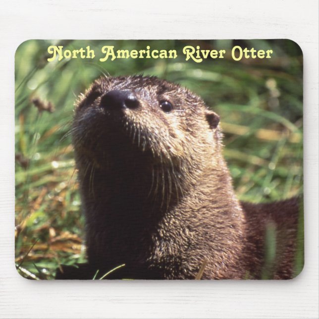 Rio Otter Up Close e Personal Mousepad (Frente)