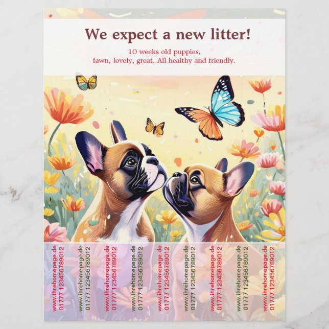 Ripp Off French Bulldog Puppies Flyer (Frente)