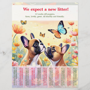 Ripp Off French Bulldog Puppies Flyer