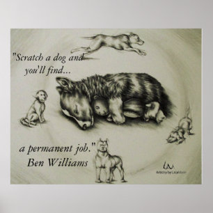 Risque um cão - poster do sono do cão