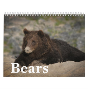 Roaming com Gigantes - Um Calendário do Urso Grizz