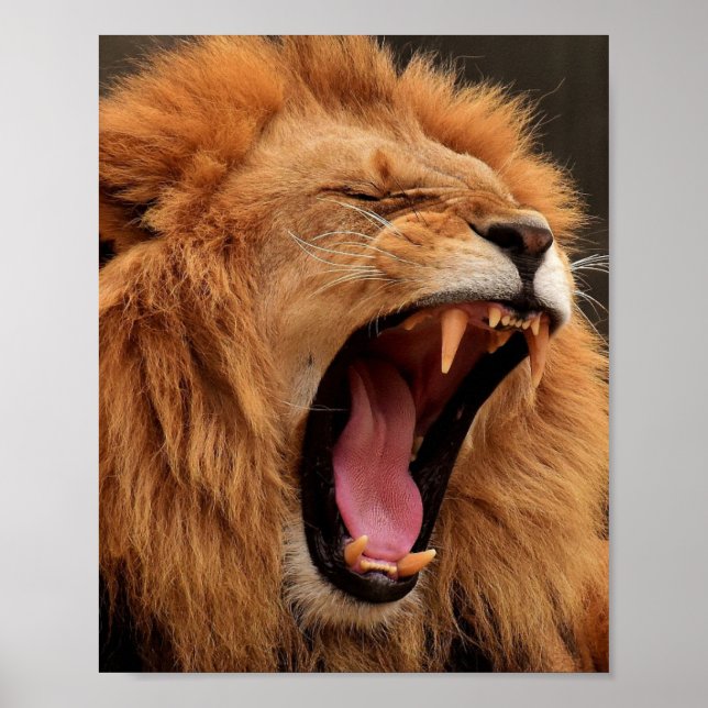 ROARING LION POSTER (Frente)