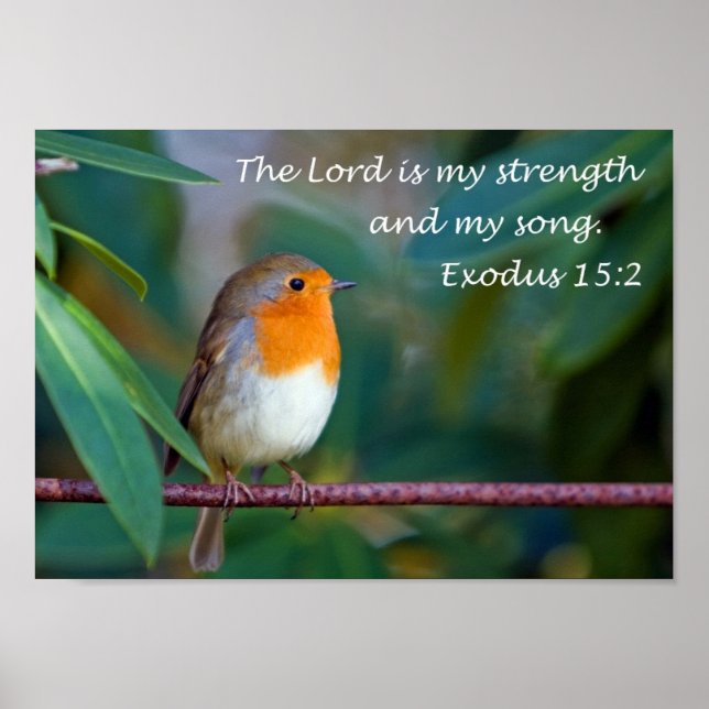 Robin Song Poster (Frente)