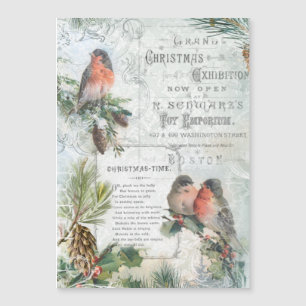 Robins de Natal Elegante Vintage