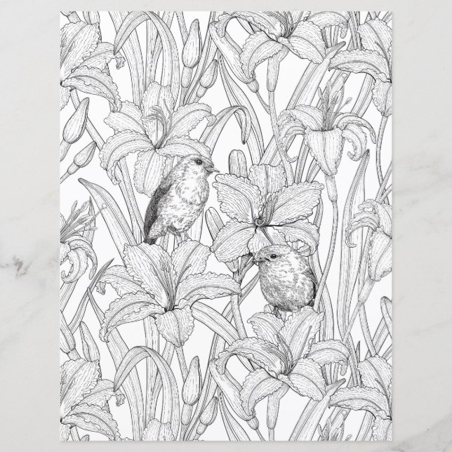 Robins e flores, preto e branco (Frente)