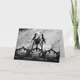 Rocha da Agonia, Jerusalém, Israel - cartão P&B