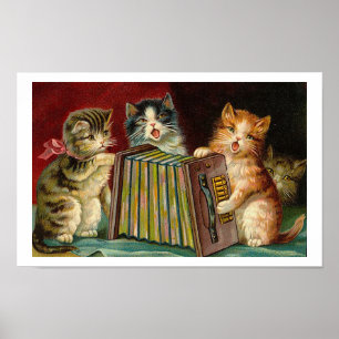 Rocha dos gatinhos de Accordeon! Poster