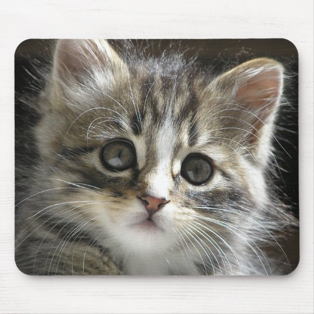 Rochoso o gatinho Mousepad (Frente)