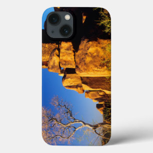 Rock Formation And Tree, Giant's Playground
