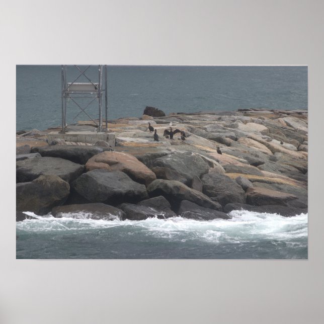 Rocks with Birds Ocean Waterscape Poster (Frente)